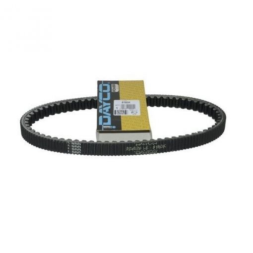 Dayco Drive Belt 200cc