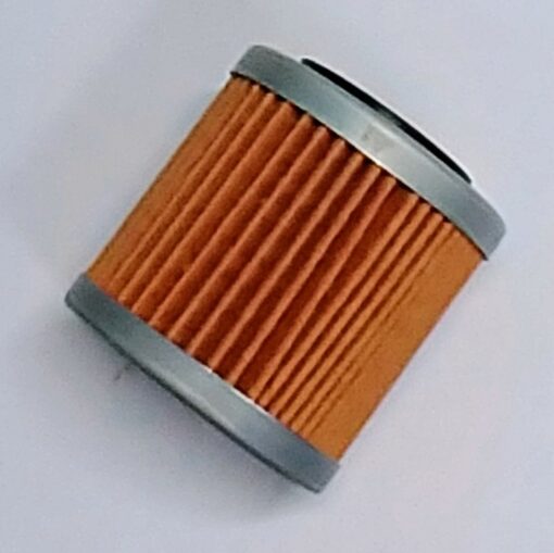 Piaggio Beverly 350 Oil Filter