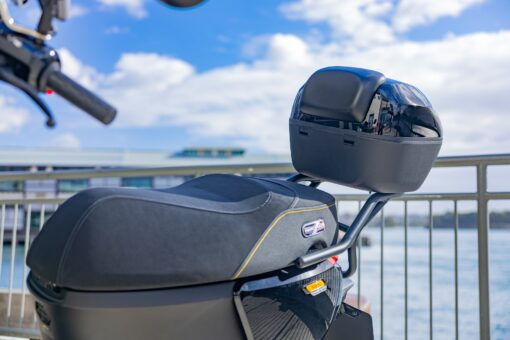 Segway E300 Rear Carry Rack