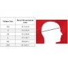 Nolan N21 Visor Dolce Vita White/Black - Image 2